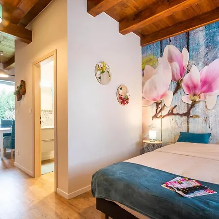 Apartamento Au Fil Des Saisons Proximité Europa Park Diebolsheim